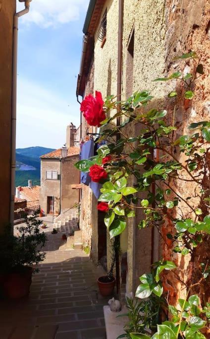 Casa Il Girasole Holiday home Boccheggiano