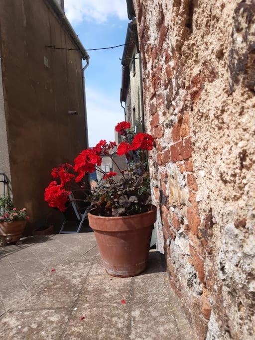 Casa Il Girasole Holiday home