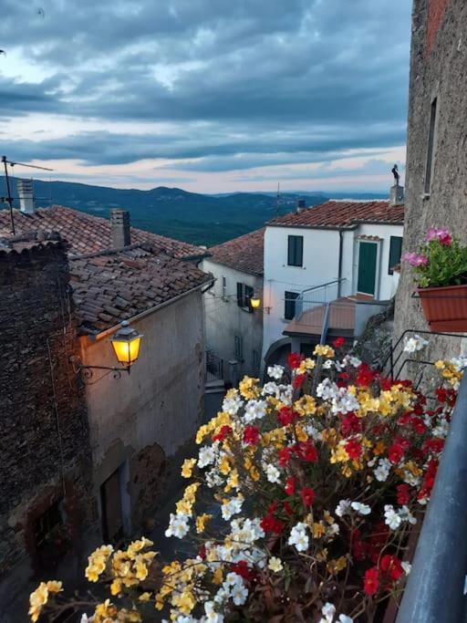 Casa Il Girasole Boccheggiano